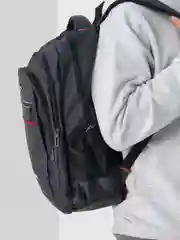Серый рюкзак мужской Lion Backpack