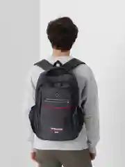 Серый рюкзак мужской Lion Backpack