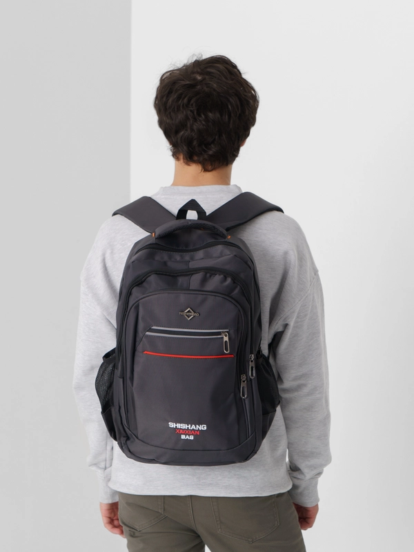 Рюкзак мужской Lion Backpack