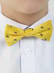 Желтый галстук-бабочка для мальчика "Doggy", детская бабочка