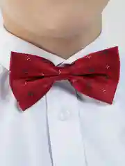 Красный галстук-бабочка для мальчика "Doggy", детская бабочка