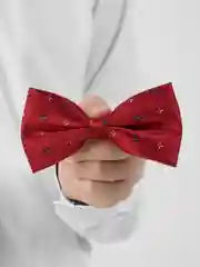 Красный галстук-бабочка для мальчика "Doggy", детская бабочка