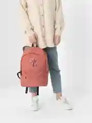 Алый рюкзак