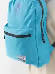 Бронзовый рюкзак
