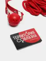 Игра для двоих Территория соблазна. Жгучая страсть, 3 в 1 (20 карт, кляп, веревка), 18+