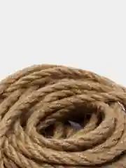 Джут