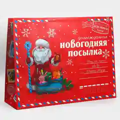 Пакет ламинированный горизонтальный "НГ посылка", XXL 46х61х20 см