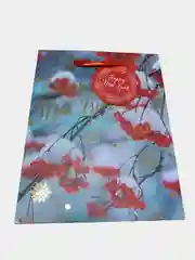 Пакет упаковочный "Новый Год", 18*23 см, 26*32 см