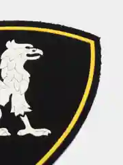 Хром нарукавный знак регионального командования. Шеврон армейский "Внутренние Войска"