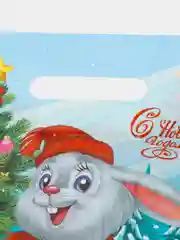 Коралловый пакет новогодний 20 х 30 см (3, 5, 10 шт)