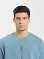 Золотой цепочка на шею, мужская, с подвеской