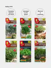 Набор семян Микрозелени из 6 разных пачек / Аэлита