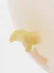 Золотой воздушный шар для нового года, прозрачный, латексный, блестки конфетти в виде звездочек