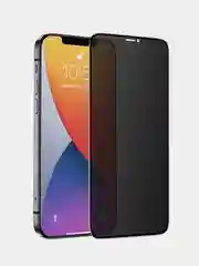 Защитное стекло Privacy (Антишпион) для iPhone 12/12 Pro, 12 Pro Max