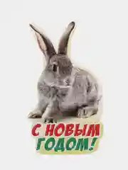Коралловый меланж открытка новогодняя 2024