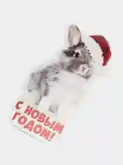 Кораллово-розовый открытка новогодняя 2024