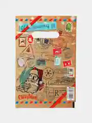 Лайм пакет новогодний,5 шт ,20*30