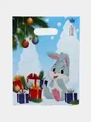 Манго пакет новогодний,5 шт ,20*30