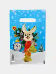 Лазурный пакет новогодний,5 шт ,20*30