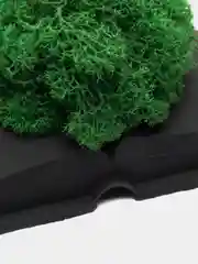 Книжка со мхом