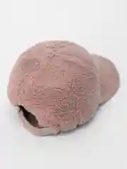 Розовый кепка женская, шерстяная