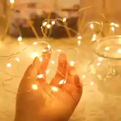Светодиодная новогодняя LED-гирлянда, проволока для украшения интерьера