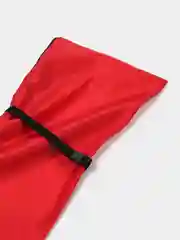 Красный чехол для лыж