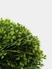 Лесной зеленый цветы искусственные в кашпо, 3 цвета