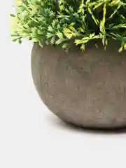 Лайм цветы искусственные в кашпо, 3 цвета