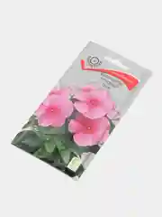 Семена цветов Катарантус розовый "Султан"
