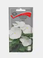 Семена цветов Катарантус розовый, Халиф