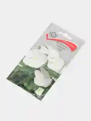 Семена цветов Катарантус розовый, Халиф
