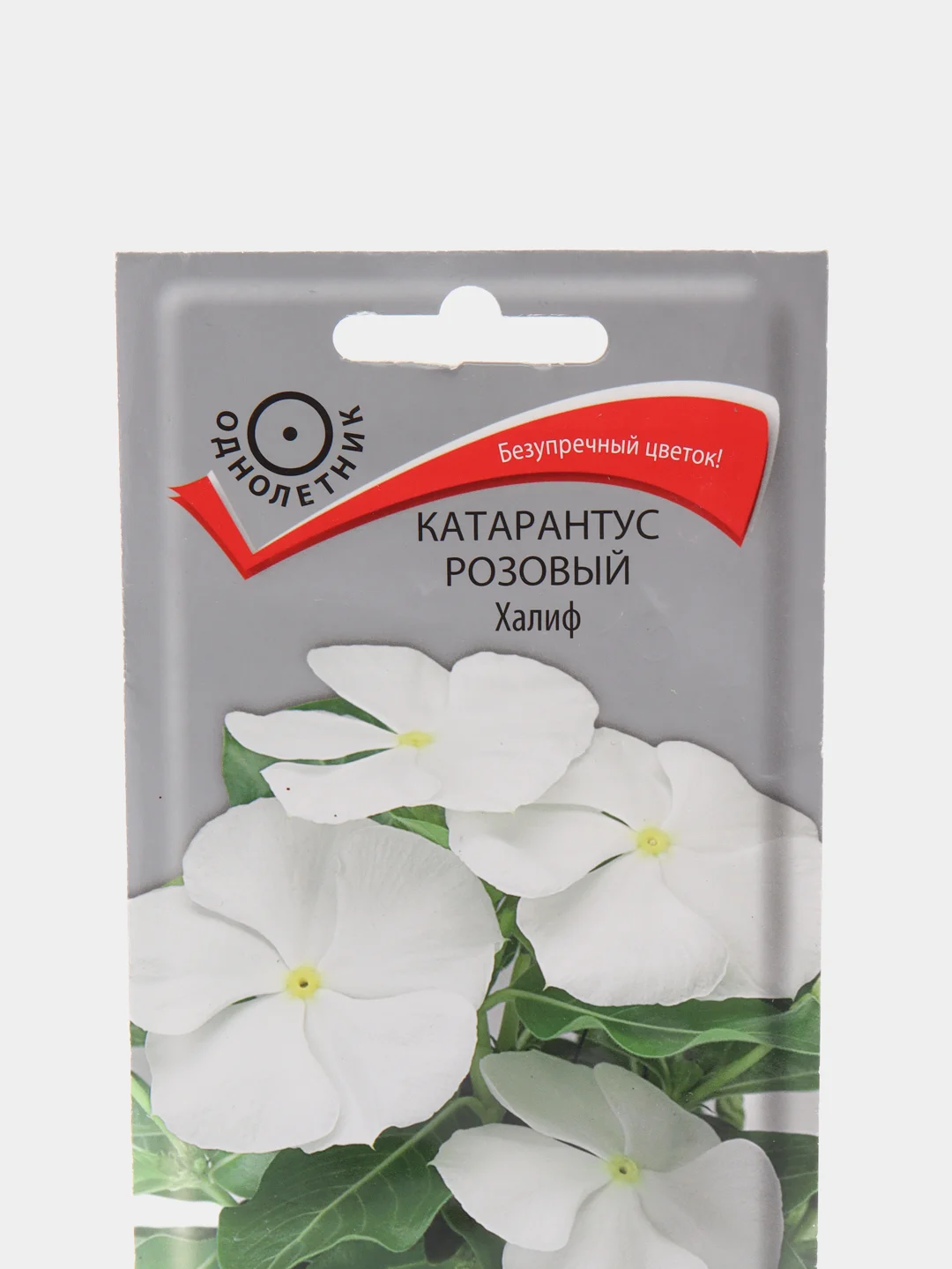 Семена цветов Катарантус розовый, Халиф