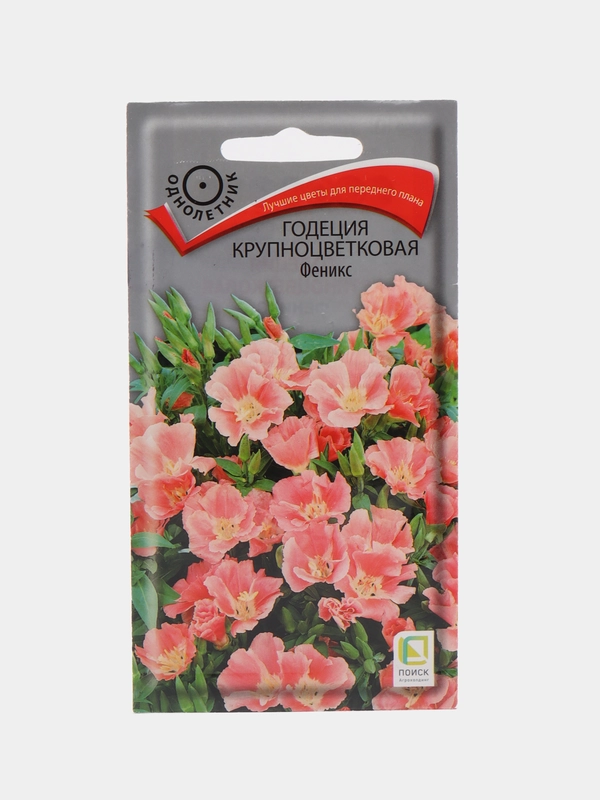 Семена Годеция крупноцветковая, Феникс