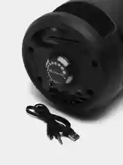 Портативная колонка Defender G70, 12 Вт