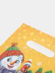 Ледяной пакет новогодний,5 шт ,20*30