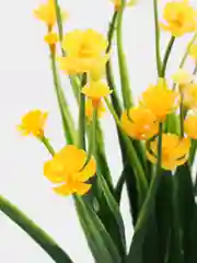 Желтый искусственные цветы осока