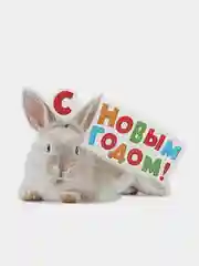 Зелёный хаки открытка новогодняя 2024