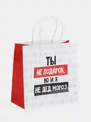 Белый пакет подарочный новогодний, новогодний пакетик "С новым 2025 годом", 22х22см 1 дизайн