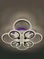 Люстра светодиодная 8879/4+4 LED, с пультом управления, с RGB подсветкой, 155 Вт