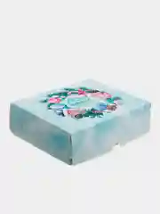 Ледяной упаковка "Новогодняя коробка", 20 х 17 х 6 см