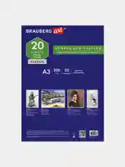 Папка для пастели БОЛЬШАЯ А3, 20л. слоновая кость ГОЗНАК 200г тиснение Скорлупа, BRAUBERG