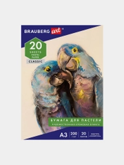 Папка для пастели БОЛЬШАЯ А3, 20л. слоновая кость ГОЗНАК 200г тиснение Скорлупа, BRAUBERG