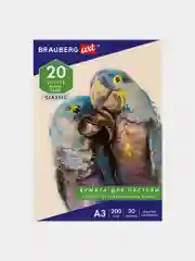 Папка для пастели БОЛЬШАЯ А3, 20л. слоновая кость ГОЗНАК 200г тиснение Скорлупа, BRAUBERG