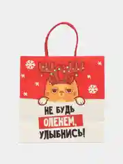 Коралловый пакет подарочный "С новым годом", 21 дизайн