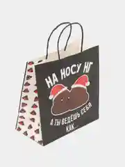 Бирюзовый пакет подарочный "С новым годом", 21 дизайн