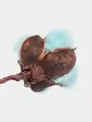 Голубой хлопок натуральный, искусственные цветы, хлопок на стебле, сухоцвет