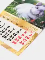 Золотой магнит  календарь символ года 2023,отрывной календарь , размер 10*13,5 см