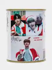 Копилка для денег K-pop Stray Kids