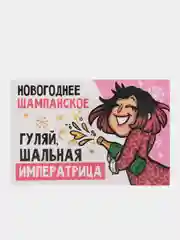 Розовый набор наклеек на бутылку "Шампанское Новогоднее", 12 х 8 см, 3 штуки